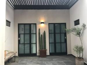 san miguel de allende