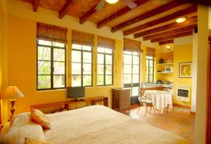 san miguel de allende