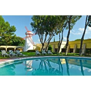 san miguel de allende