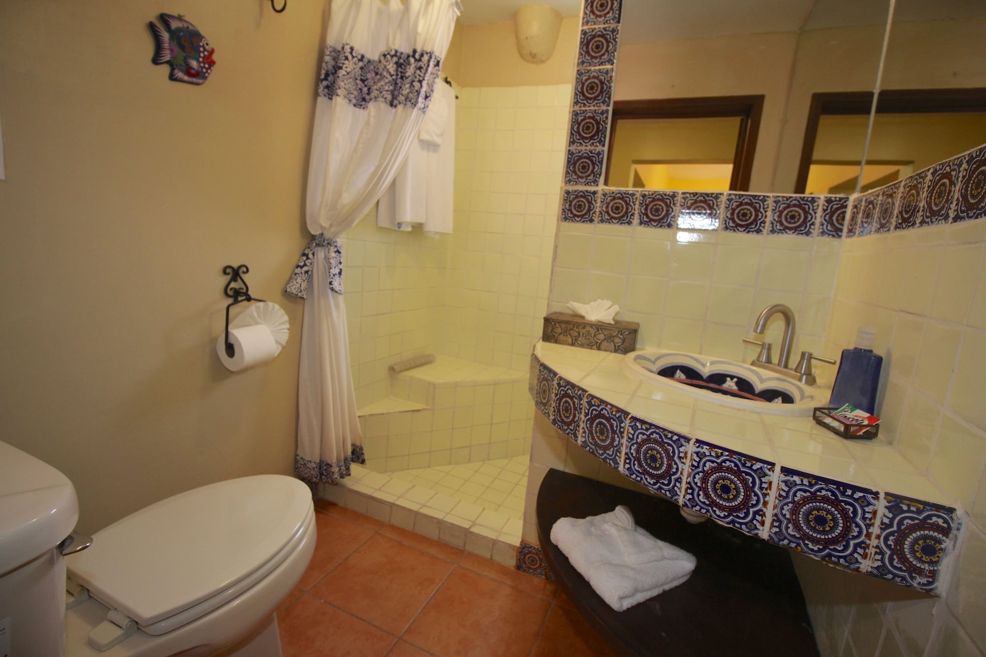 san miguel de allende