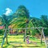 lotus home