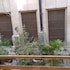 grand cairo hotel