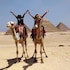 grand cairo hotel