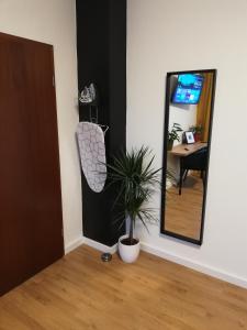 dream and relax apartments messe