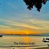 the parlour krabi
