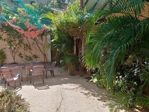 Surf & Relax Inn Arugambay,Arugam Bay>>Ampara,3 star