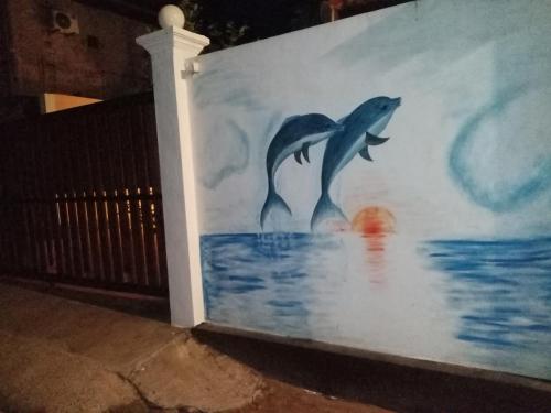 surf and relax inn arugambay