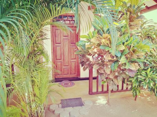 Surf & Relax Inn Arugambay,Arugam Bay>>Ampara,3 star