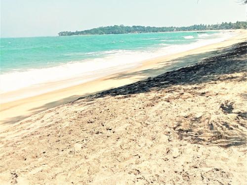 surf and relax inn arugambay