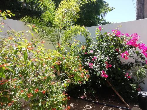 surf and relax inn arugambay