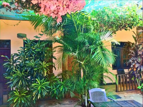 surf and relax inn arugambay