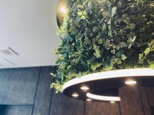 hotel halrotto fukuoka hakata