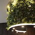 hotel halrotto fukuoka hakata