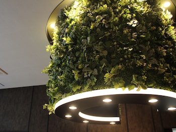 hotel halrotto fukuoka hakata