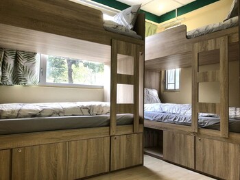 amu dreamhouse hostel