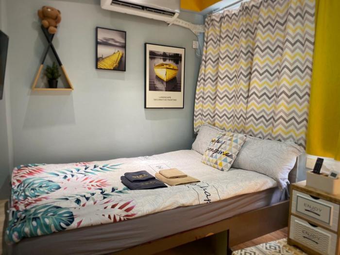 amu dreamhouse hostel