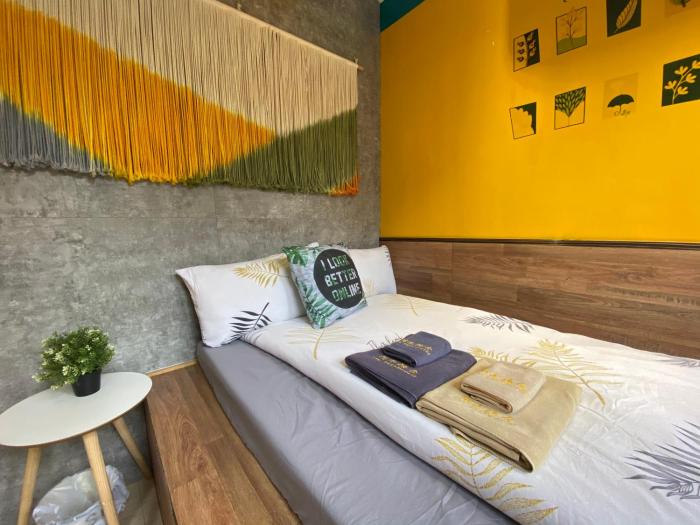 amu dreamhouse hostel