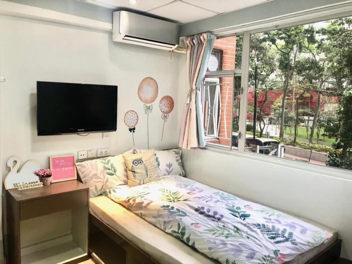 amu dreamhouse hostel