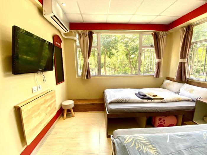 amu dreamhouse hostel