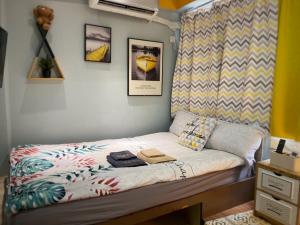 amu dreamhouse hostel