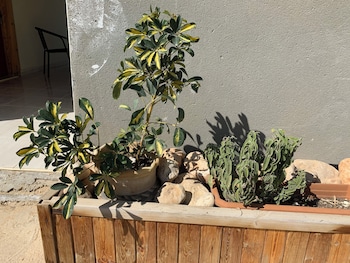 khan alsira amazing bedouin hospitality