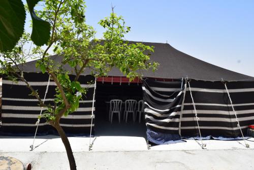 khan alsira amazing bedouin hospitality