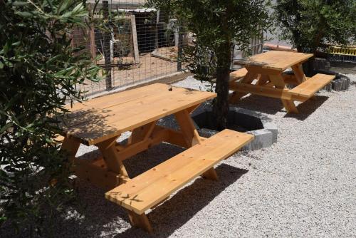 khan alsira amazing bedouin hospitality