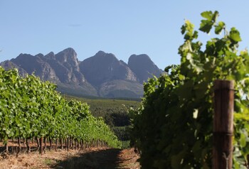 africamps at doolhof glamping