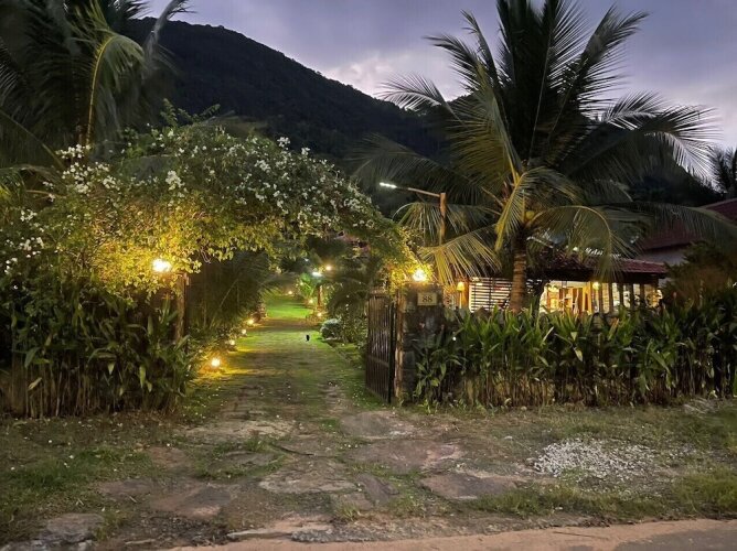 freedom jungle resort