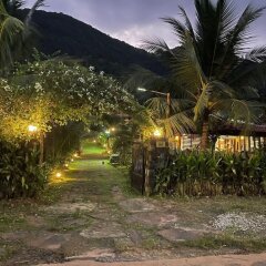 freedom jungle resort