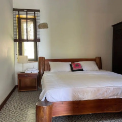 freedom jungle resort