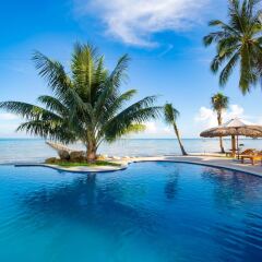 freedom jungle resort