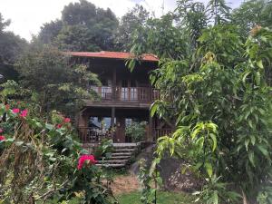 freedom jungle resort
