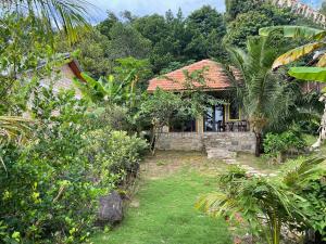 freedom jungle resort