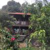 freedom jungle resort