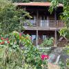 freedom jungle resort