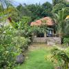 freedom jungle resort