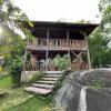 freedom jungle resort