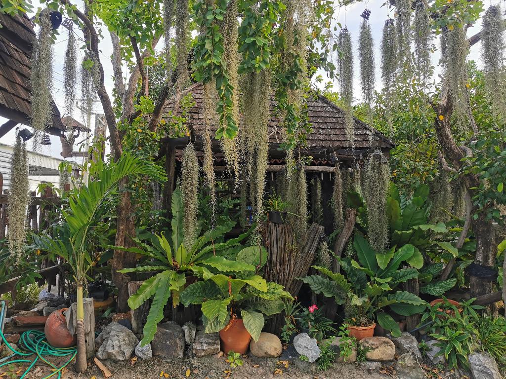baan lanna resort