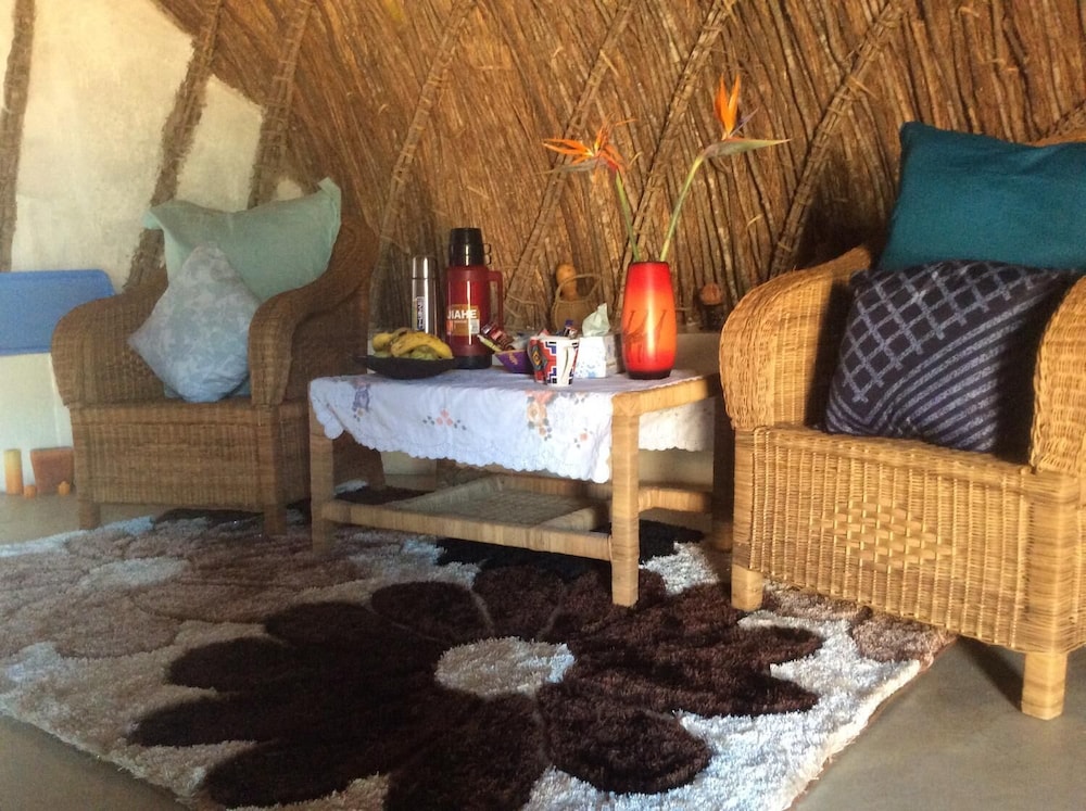 swazi dreams nqabaneni eco volunteering