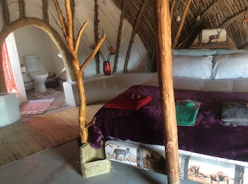 swazi dreams nqabaneni eco volunteering
