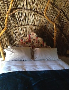 swazi dreams nqabaneni eco volunteering