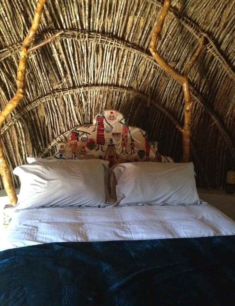 swazi dreams nqabaneni eco volunteering