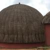 swazi dreams nqabaneni eco volunteering