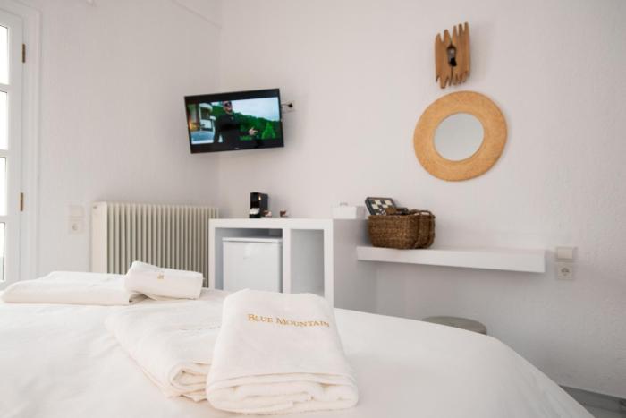 blue mountain guesthouse arachova