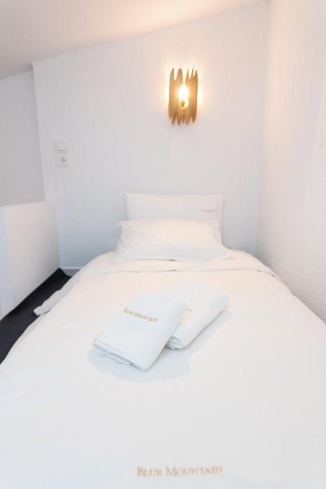 blue mountain guesthouse arachova