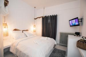 blue mountain guesthouse arachova