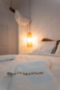 blue mountain guesthouse arachova