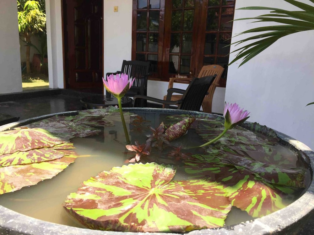 villa serenity
