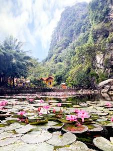 tam coc rocky bungalow